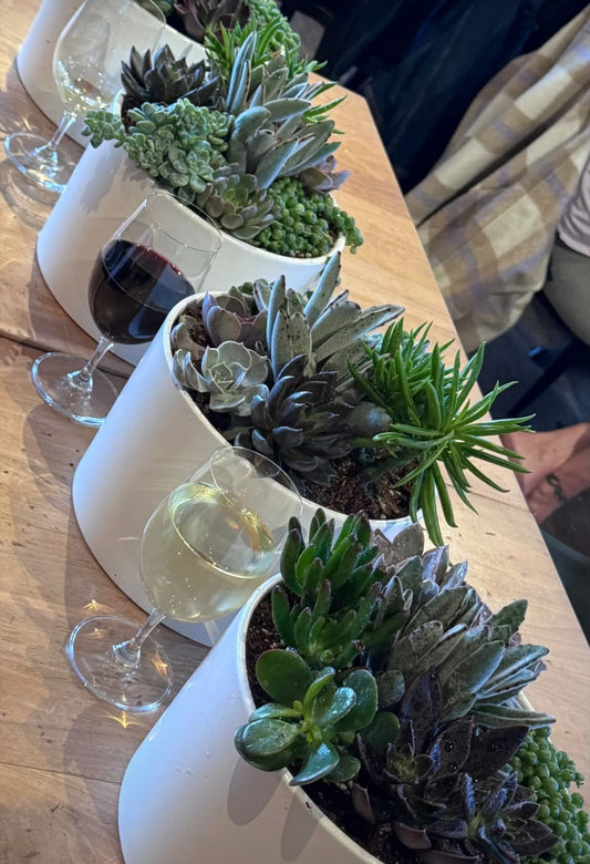 Succulent Garden Workshop