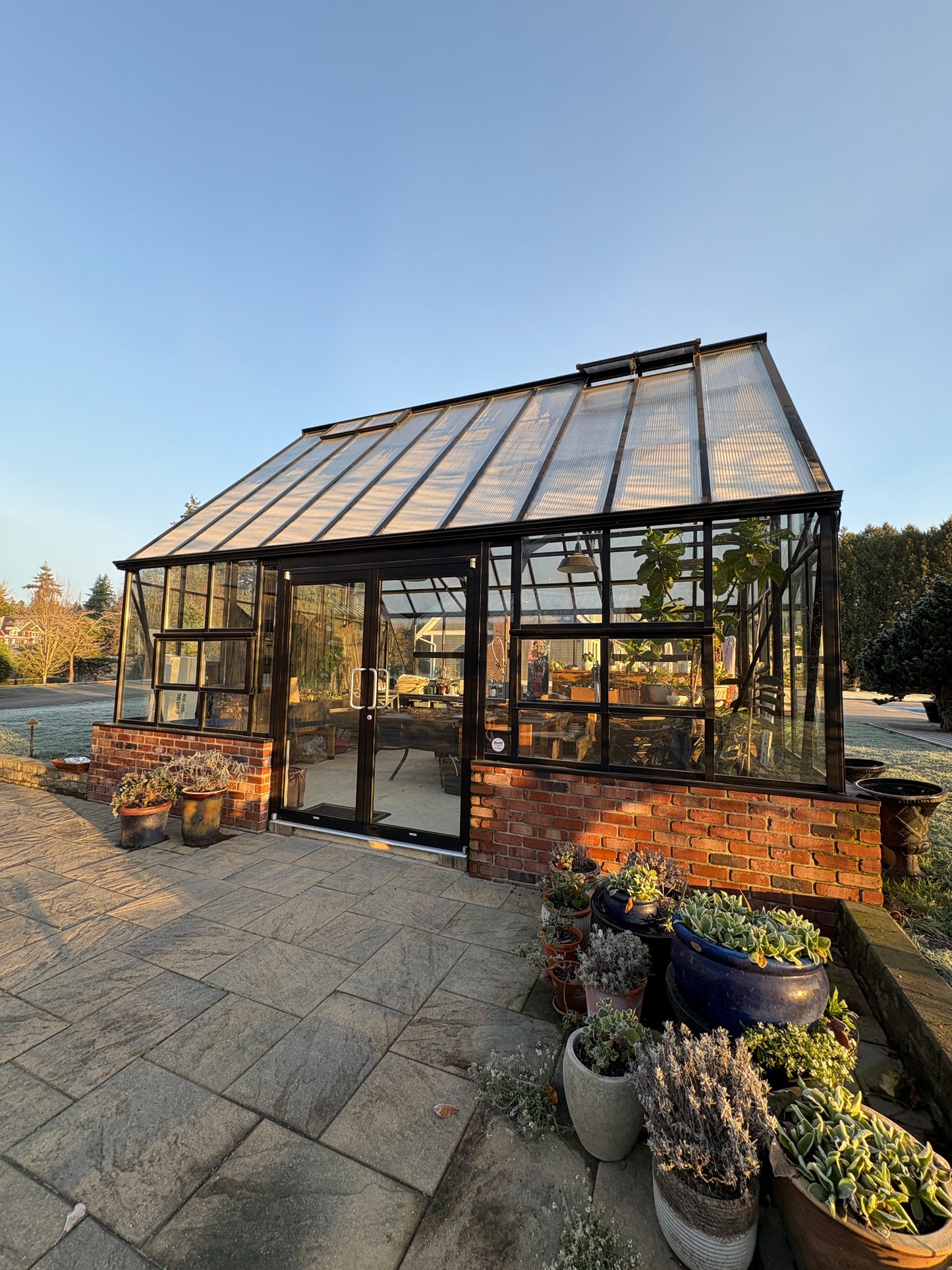 Rooted and Radiant Spring Workshop | March 7th 9-1pm